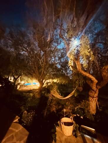 A imagem mostra uma cena noturna serena com uma rede suspensa entre duas árvores, com uma cesta de vime embaixo, em um cenário de vegetação exuberante e uma piscina à distância.