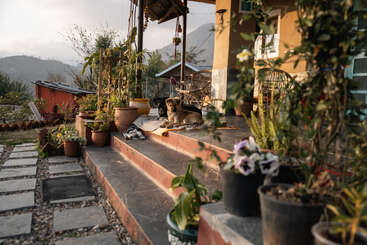 A cozy porch adorned with potted plants and flowers, a dog relaxing on the steps, mountains in the background, and warm, golden sunlight bathing everything.