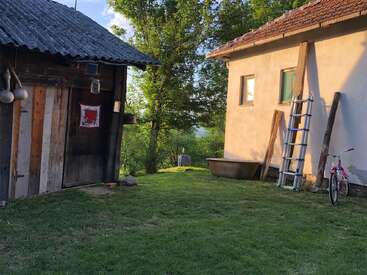 A rustic yard shows a wooden shed and white house, with a ladder, bathtub, and pink bicycle. Lush green grass and trees surround the peaceful scene.
