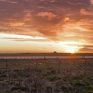The image depicts a serene sunset over a field, with a fence in the foreground and a body of water in the background, set against a cloudy sky.