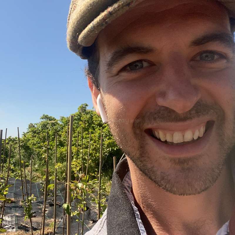 The image shows a man\'s face with a garden in the background, featuring plants and a clear blue sky. The man is wearing a hat and has a smile on his face.