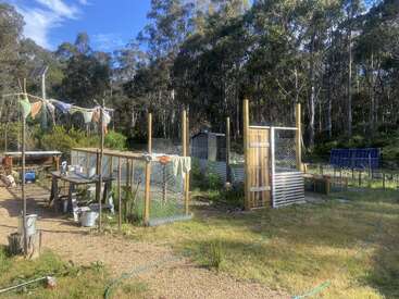 This image shows a rustic garden setup with chicken coops, solar panels, prayer flags, tools, and woodland in the background, basking in bright sunlight.