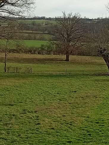 Uma paisagem rural tranquila com campos verdes ondulados, árvores sem folhas e um horizonte distante sob um céu nublado, evocando uma atmosfera rural calma e tranquila.