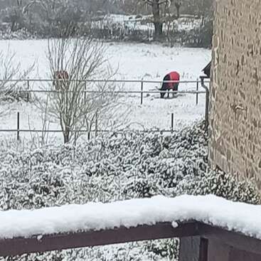 A snowy landscape with two horses in a fenced field. One horse wears a red blanket. There is a stone building and snow-covered wooden railing in the foreground.