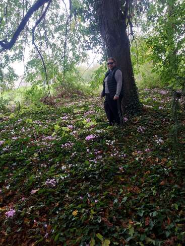 Una persona sonriente está de pie junto a un gran árbol en un frondoso bosque. El suelo está cubierto de pequeñas flores rosas, hojas verdes y follaje marrón esparcido.