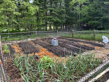 A fenced vegetable garden with rows of soil, some leafy plants growing, a sprinkler watering the beds, surrounded by trees, and a bag of soil nearby.