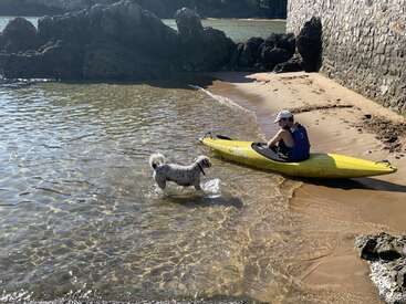 L'image représente une scène sereine d'une personne dans un kayak jaune sur une plage de sable, accompagnée d'un petit chien blanc jouant dans l'eau à proximité.