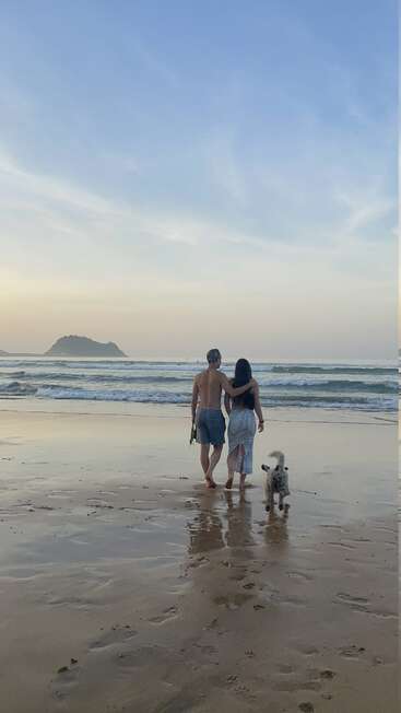 L'image représente une scène de plage sereine, avec un couple marchant main dans la main avec leur chien, sur fond de douces vagues et d'un ciel doux et brumeux.