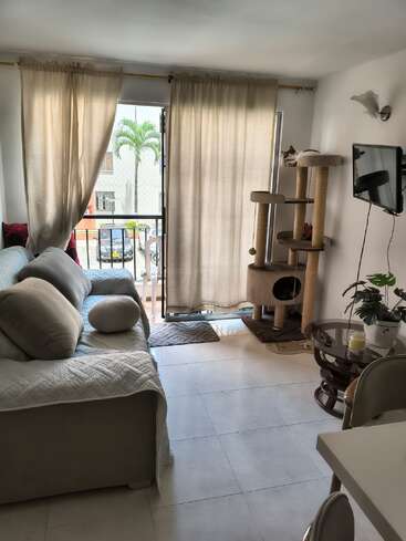 Un acogedor salón con un sofá beige, cojines, cortinas claras, un rascador con un gato, un televisor colgado en la pared, una mesa de cristal y una planta en una maceta.