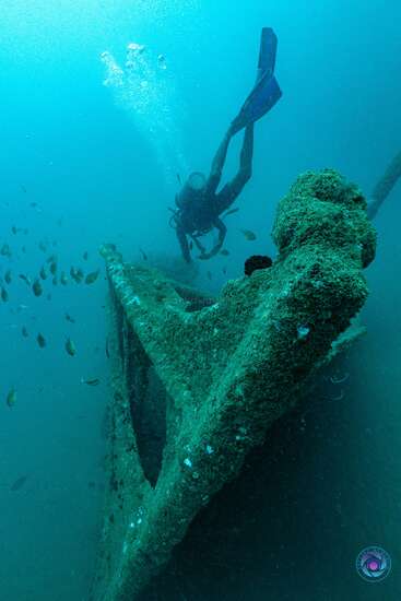 A scuba diver explores an underwater shipwreck covered in moss and algae, with small fish swimming nearby in the deep, blue, serene ocean environment.