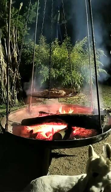 Uma fogueira brilha calorosamente à noite, com troncos queimando e fumaça subindo. Arbustos verdes, plantas altas e um cachorro branco estão por perto, dando um toque aconchegante.