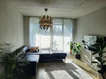 La imagen muestra un salón moderno con un sofá gris, una gran ventana y un televisor en una pared blanca, rodeado de plantas y luz natural.