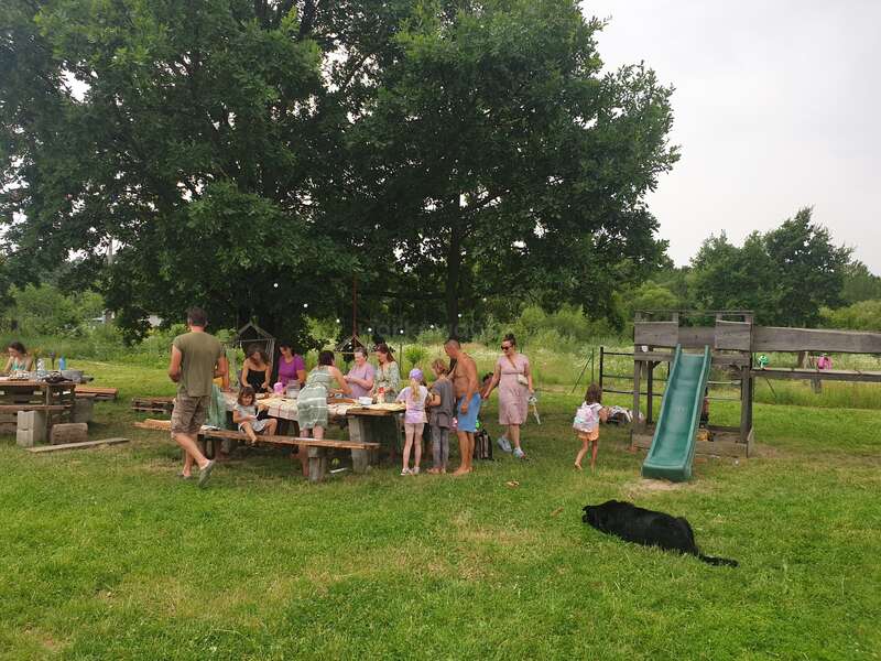 Um grupo de adultos e crianças está reunido ao ar livre, em mesas de piquenique sob árvores grandes, compartilhando comida. Perto dali, há um parquinho com um escorregador e um cachorro preto.