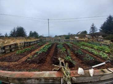 A vegetable garden with neat rows of plants, wooden pallet fencing, and a cloudy sky. Gardening tools and harvested produce rest on the wooden foreground.