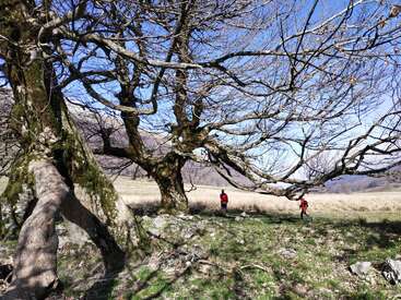 Dos personas con chaquetas rojas están de pie bajo unos árboles frondosos y sin hojas en una pradera rocosa bañada por el sol, rodeadas de montañas y un cielo azul, disfrutando de un tranquilo día de primavera.