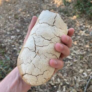 Una mano sostiene un trozo de pan rústico y agrietado al aire libre. El pan tiene una textura seca y áspera y el fondo muestra suciedad y hojas caídas.