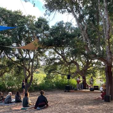Un pequeño público se sienta en mantas bajo grandes árboles y contempla la actuación de una banda en directo sobre un escenario de madera en un apacible entorno boscoso al aire libre.