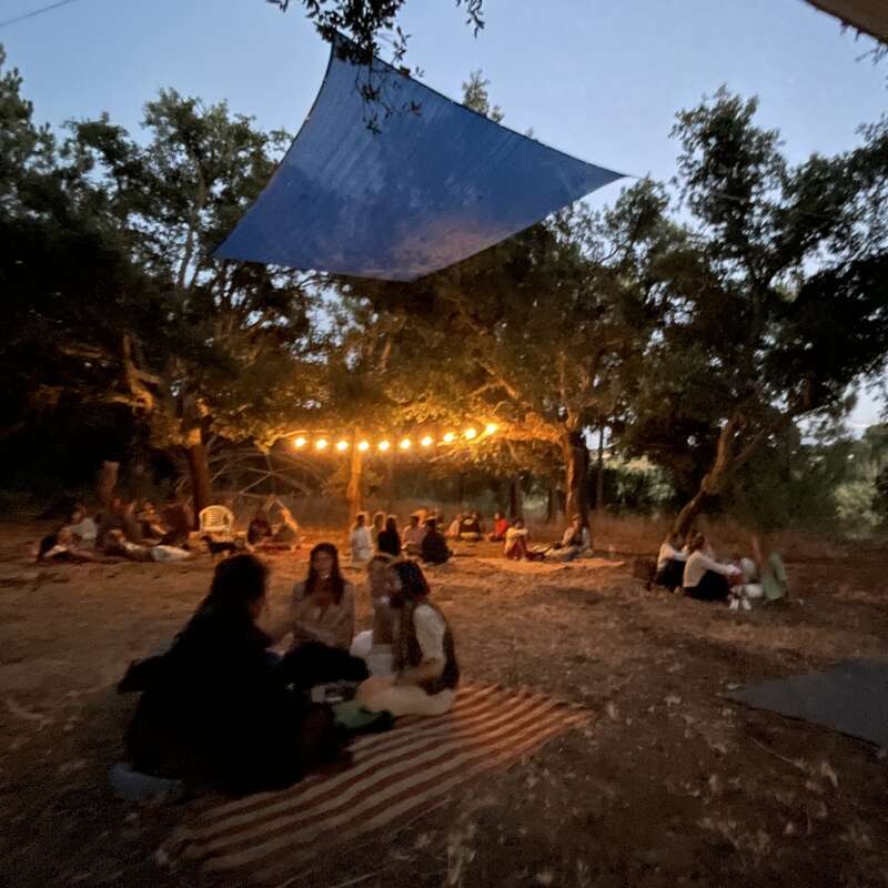 People gather outdoors at dusk, sitting on blankets beneath trees. Warm string lights hang above, creating a cozy, relaxed, and intimate atmosphere for conversation and connection.