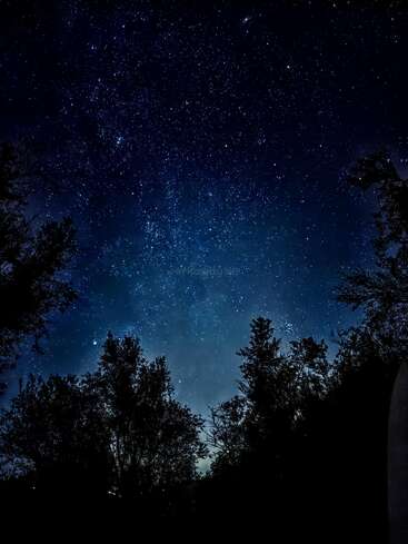 Das Bild zeigt einen sternenklaren Nachthimmel mit Bäumen im Vordergrund vor einem dunkelblauen und schwarzen Hintergrund.