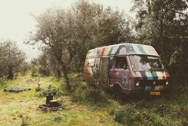 Das Bild zeigt einen Volkswagen Transporter, der in einem Waldgebiet geparkt ist, mit einer farbenfrohen Lackierung und einem Blumenmuster auf der Seite.