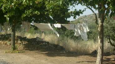 White laundry hangs on a clothesline strung between two trees in a rural setting, surrounded by dry grass, rocks, and distant hills under sunlight.
