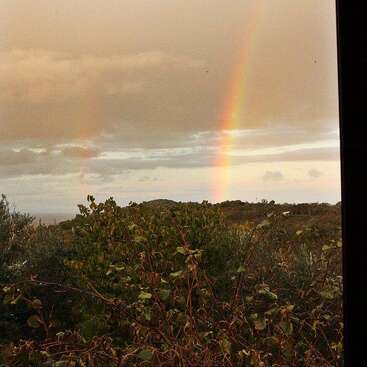 Das Bild zeigt einen leuchtenden regenbogenfarbenen Regenbogen, wahrscheinlich einen doppelten Regenbogen, vor einem grauen Himmel, mit einer Wiese und Bäumen im Hintergrund. Die Szene ist heiter und friedlich.