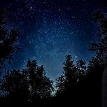 La imagen representa un cielo nocturno estrellado, con árboles silueteados en primer plano, sobre un fondo azul oscuro y negro.