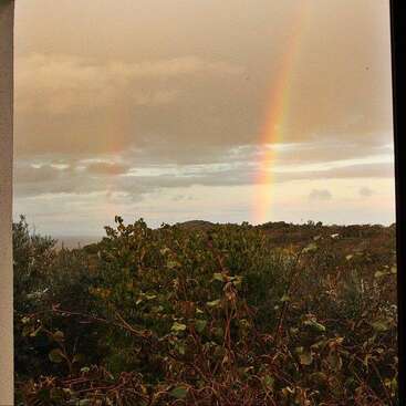 The image depicts a vibrant rainbow-colored rainbow, likely a double rainbow, set against a gray sky, with a grassy area and trees visible in the background. The scene is serene and peaceful.