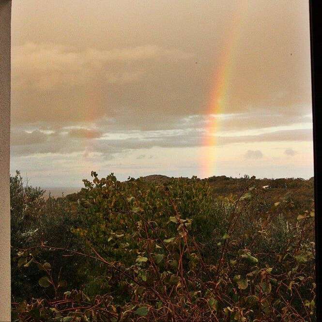 The image depicts a vibrant rainbow-colored rainbow, likely a double rainbow, set against a gray sky, with a grassy area and trees visible in the background. The scene is serene and peaceful.