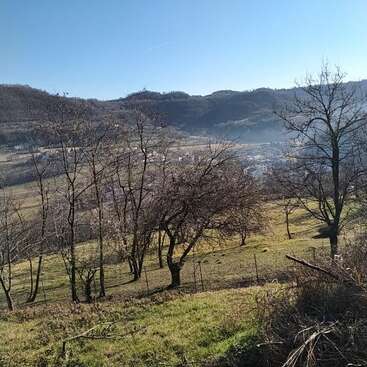 La imagen representa un paisaje sereno con colinas onduladas, árboles desnudos y un cielo azul despejado, que evoca una sensación de tranquilidad y belleza natural.
