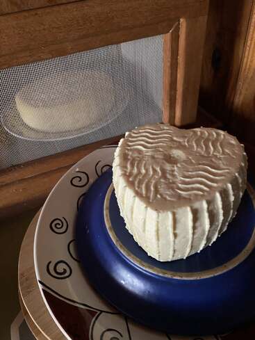 A round, textured block of fresh cheese sits on patterned plates. In the background, another cheese wheel is stored behind a mesh food cover. Warm lighting.
