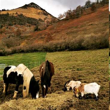 La imagen representa un paisaje sereno con un caballo, dos cabras, un fondo montañoso y un cielo nublado.