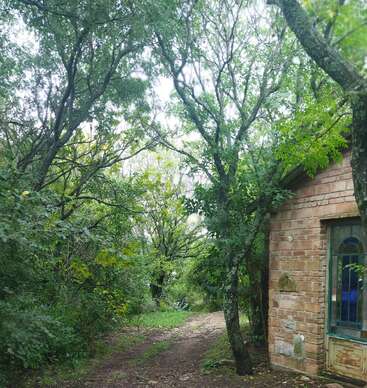 A rustic brick cottage sits at the edge of a lush, green forest. A narrow, winding dirt path leads through dense trees under a bright sky.