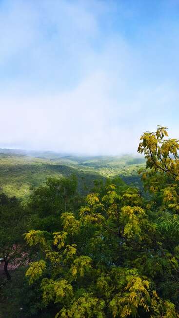 This image captures a lush, green landscape with rolling hills and yellow-tinted trees under a bright, blue sky partially covered by misty white clouds. Peaceful scenery.