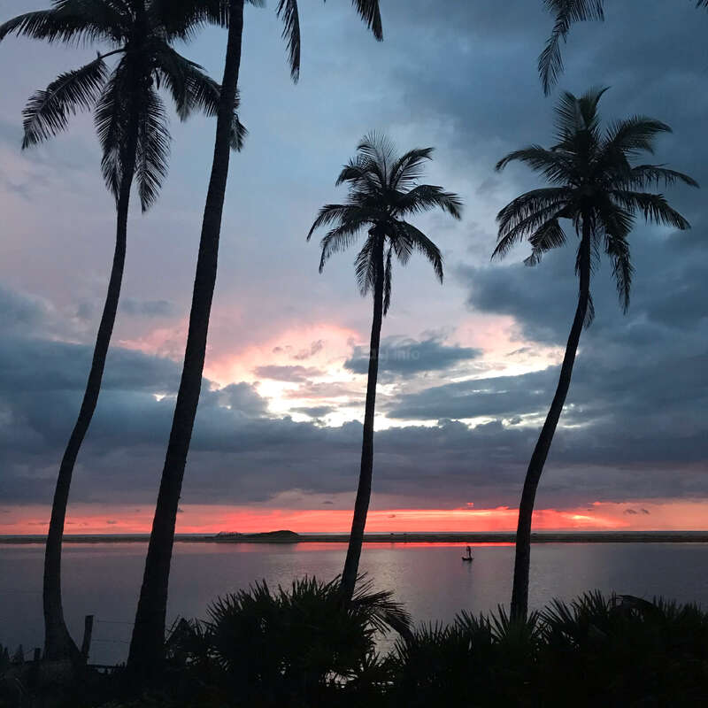 Altas palmeiras são silhuetadas em um céu dramático ao pôr do sol. Os tons de rosa, laranja e roxo refletem na água calma, criando uma cena tropical serena.