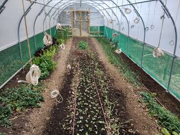 La imagen representa un invernadero con suelo de tierra, con hileras de plantas y un exterior blanco y verde, con una puerta al final del túnel.