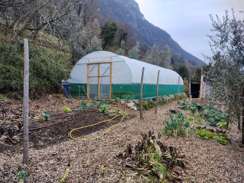 La imagen muestra un invernadero con techo blanco y fondo verde, rodeado de un jardín con plantas, mantillo y una manguera, sobre un fondo montañoso.