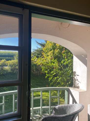 La imagen representa una serena escena al aire libre, con una pared blanca arqueada, una silla de mimbre y un frondoso jardín con árboles y arbustos, vistos a través de una ventana.