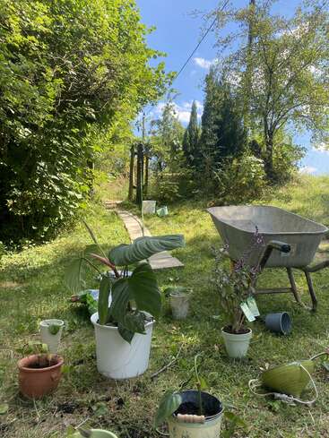 La imagen representa un entorno sereno al aire libre con macetas, una carretilla y un camino en medio de una exuberante vegetación, evocando una sensación de tranquilidad y actividad jardinera.