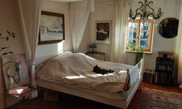 Un acogedor dormitorio presenta una cama blanca con un gato tomando el sol sobre una manta, rodeado de obras de arte, una ventana, plantas de interior, libros y una lámpara de araña.