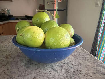 A blue bowl filled with fresh green lemons sits on a granite countertop in a cozy kitchen, with a refrigerator and colorful curtain in the background.