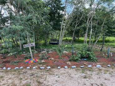 A garden with various plants, bordered by rocks, under tall trees. A sign reads "Native Monarch Garden." Colorful decorations and a black bench are visible.