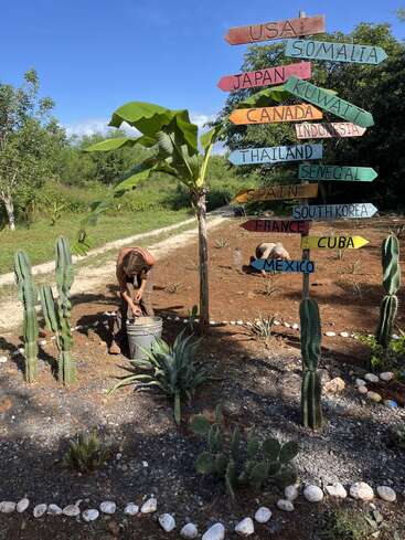 Zwei Menschen gärtnern zwischen Kakteen und Sukkulenten in der Nähe eines bunten Wegweisers, der in verschiedene Länder zeigt, unter einem klaren blauen Himmel und einer Bananenstaude.