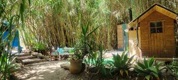 Una apacible escena de jardín con exuberantes plantas verdes, una pequeña cabaña de madera, tallos de bambú, asientos al aire libre y luz natural crean un ambiente acogedor, acogedor y tranquilo.