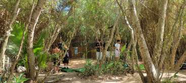 Un grupo de personas se encuentra en un claro de un bosque frondoso y sombreado, rodeado de árboles altos y vegetación, disfrutando de una tranquila reunión al aire libre en un día soleado.