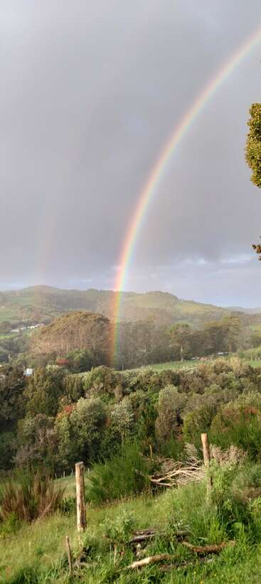 A vibrant rainbow stretches across a lush, green landscape with trees and rolling hills beneath a cloudy sky, capturing the beauty and serenity of nature.