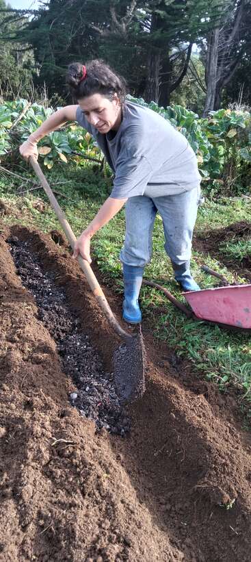 A woman in a gray shirt and jeans uses a shovel to dig soil in a garden, surrounded by green plants and trees, wearing blue boots.