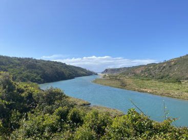 L'image représente une rivière sereine s'écoulant dans un paysage verdoyant, avec un ciel bleu clair au-dessus et une falaise lointaine à l'arrière-plan, entourée d'une végétation vibrante.