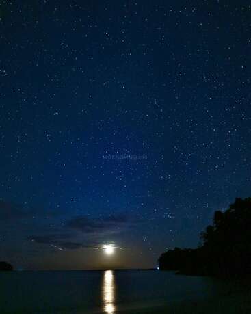 Un cielo nocturno sereno, repleto de innumerables estrellas; una luna resplandeciente que se refleja en las tranquilas aguas del océano; y las siluetas de los árboles, creando una escena apacible, hipnótica y tranquila.