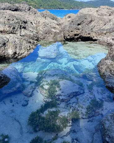 Una poza de marea de aguas cristalinas rodeada de rocas escarpadas, que deja al descubierto la vegetación submarina y la arena. Más allá, el océano azul y las exuberantes colinas verdes crean un paisaje costero vibrante y tranquilo.